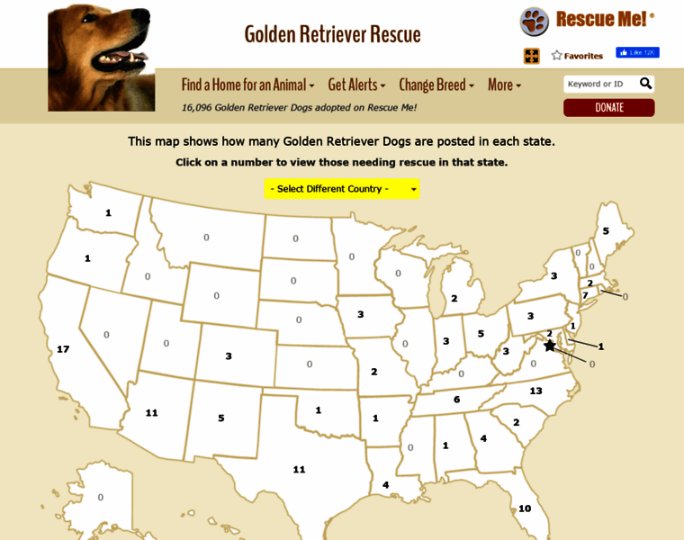 Goldenretriever.rescueme.org thumbnail