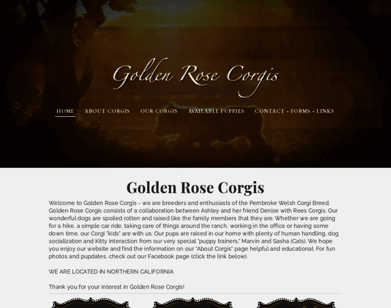 Goldenrosecorgis.com thumbnail