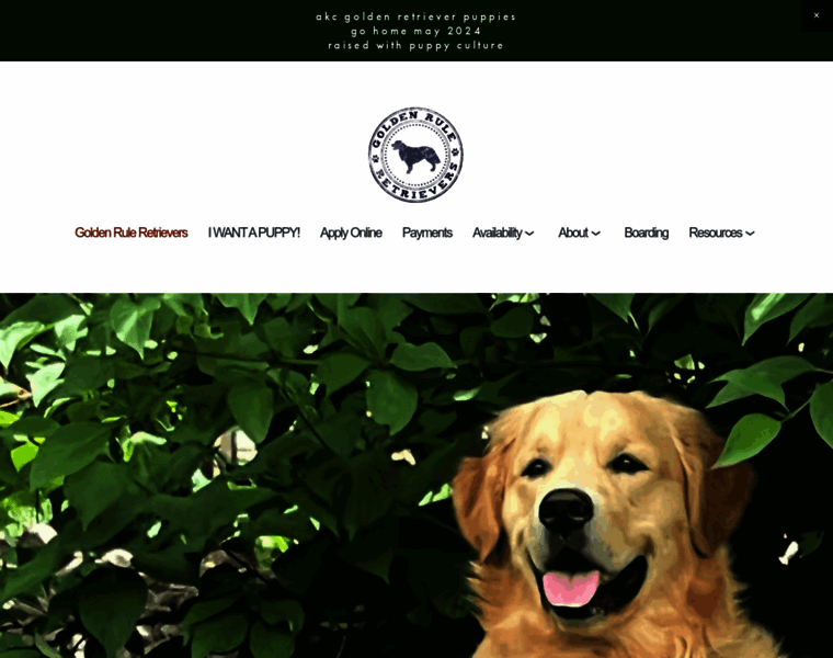 Goldenruleretrievers.com thumbnail