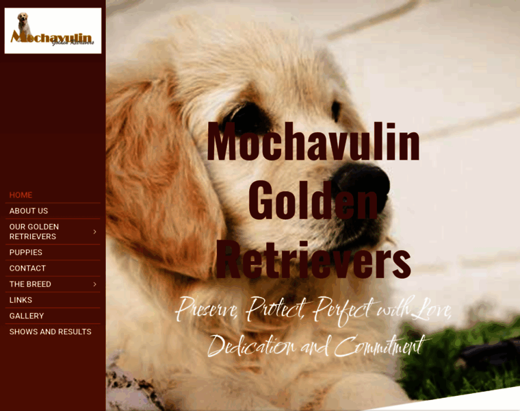 Goldens.co.za thumbnail