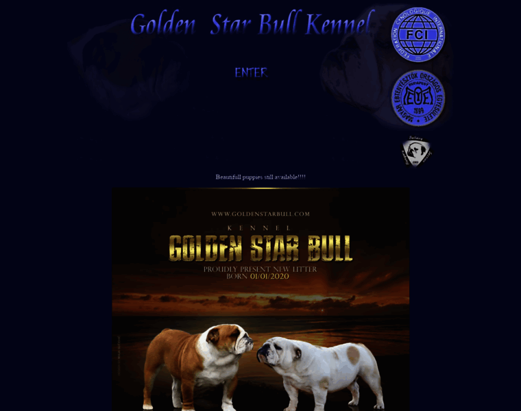 Goldenstarbull.com thumbnail