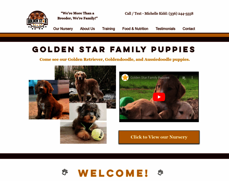 Goldenstarfamilypuppies.com thumbnail