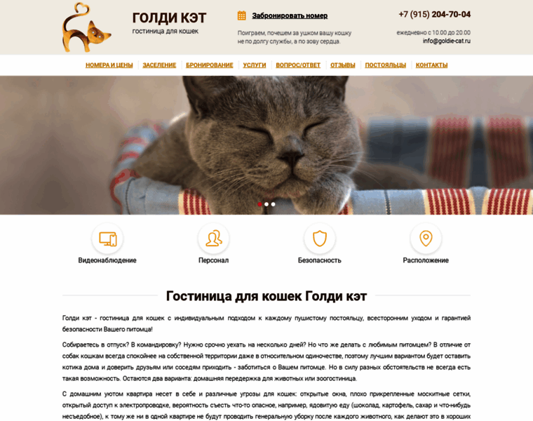 Goldie-cat.ru thumbnail