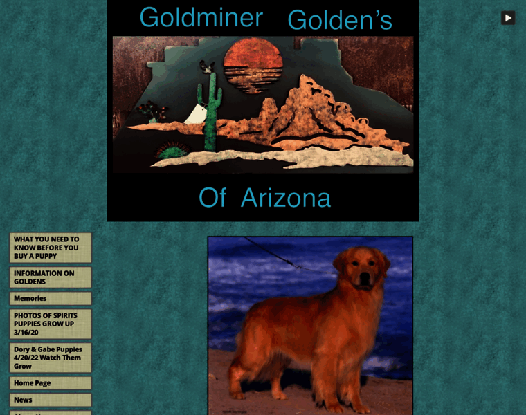 Goldminergoldens.com thumbnail