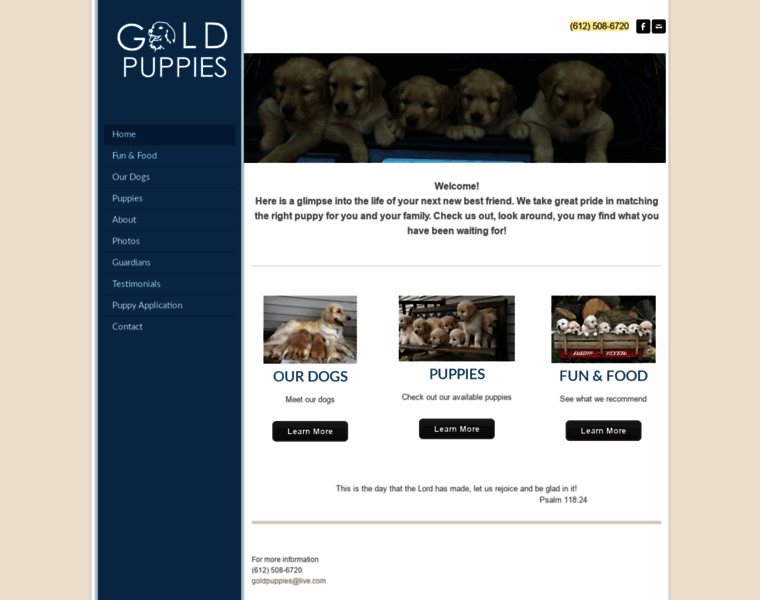 Goldpuppies.com thumbnail