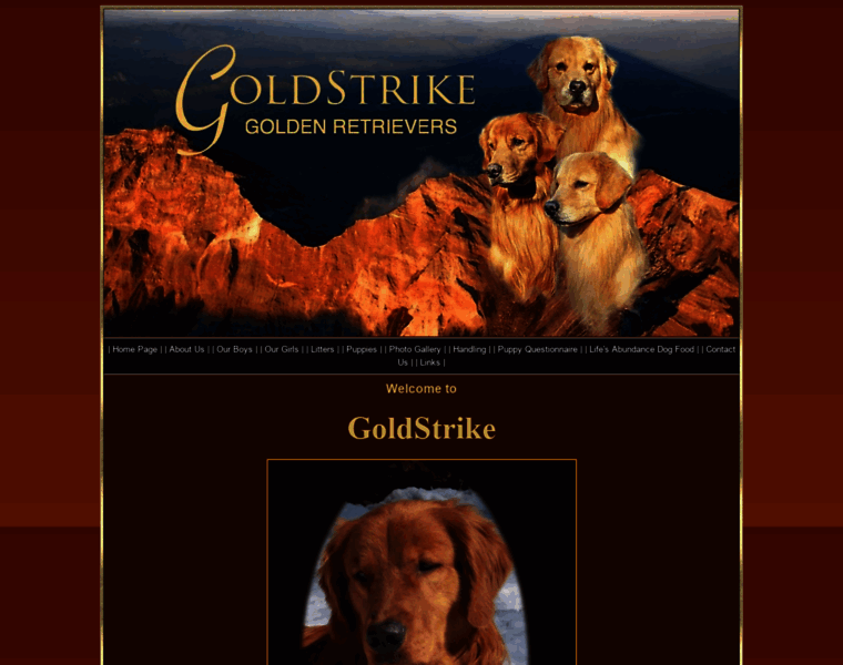 Goldstrikegoldens.com thumbnail