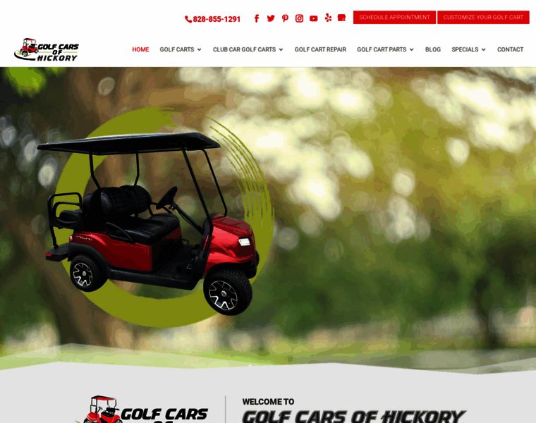 Golfcarsofhickory.com thumbnail