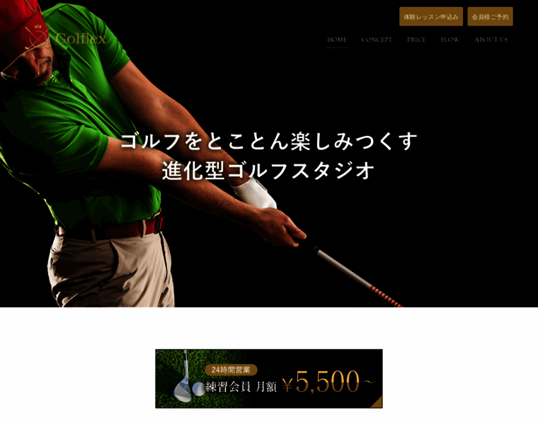 Golflex-japan.com thumbnail