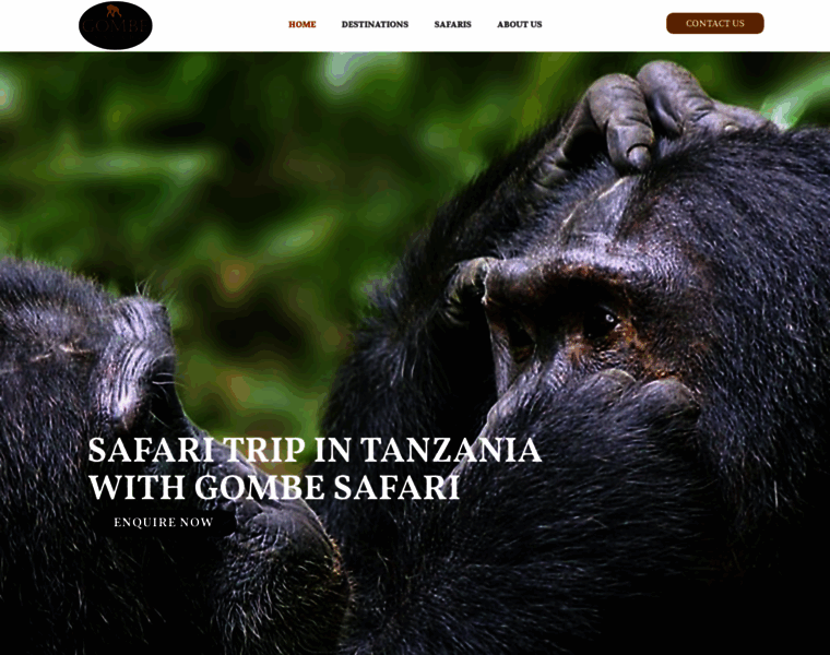 Gombesafari.com thumbnail