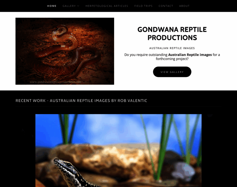 Gondwanareptileproductions.com thumbnail