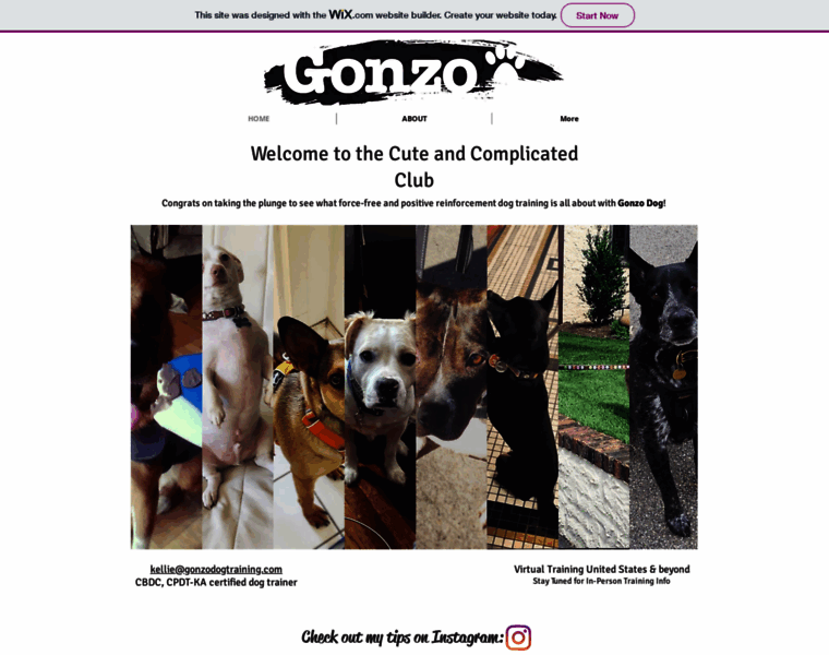 Gonzodognyc.com thumbnail