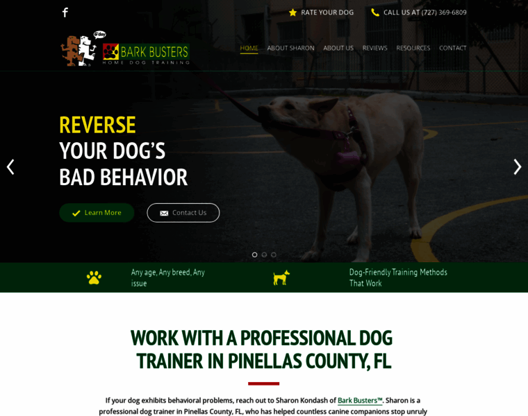 Good-dog-training.net thumbnail