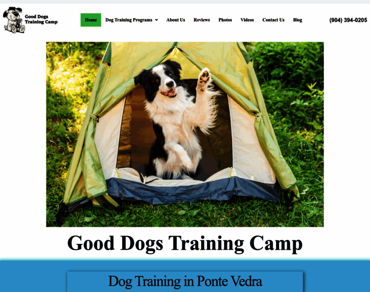 Gooddogstrainingcamp.com thumbnail