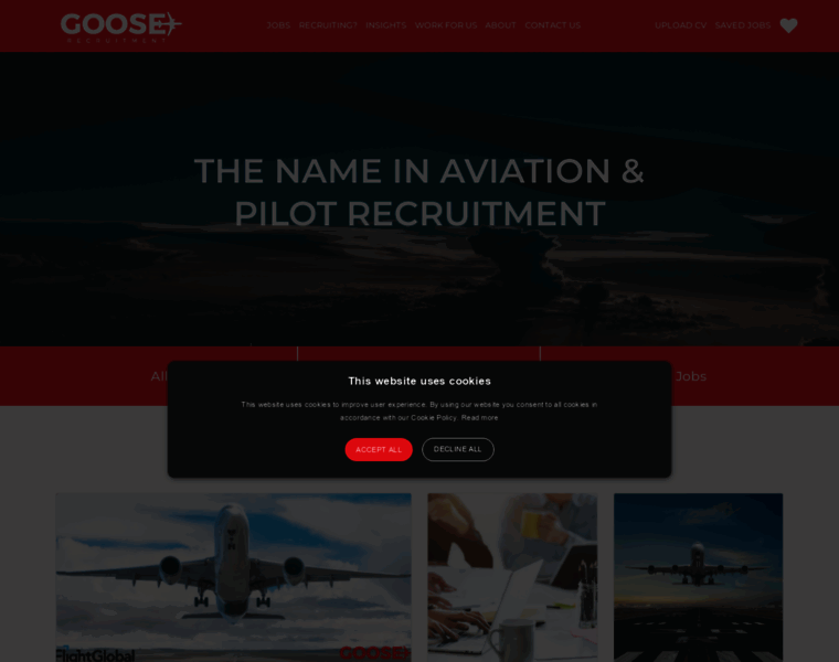 Goose-recruitment.com thumbnail