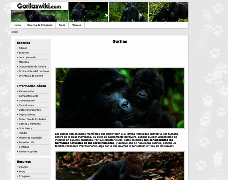 Gorilaswiki.com thumbnail