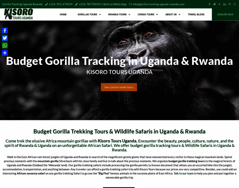 Gorilla-tracking-uganda-rwanda.com thumbnail