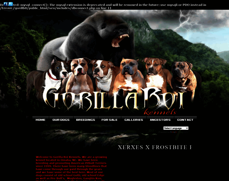 Gorillaboikennels.com thumbnail