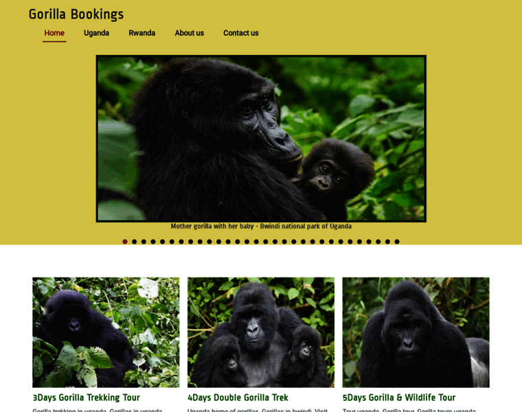 Gorillabookings.com thumbnail