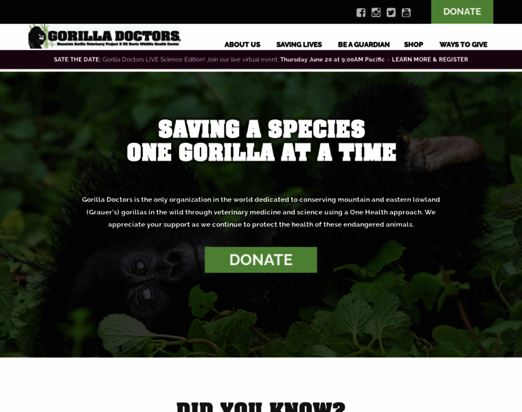Gorilladoctors.org thumbnail