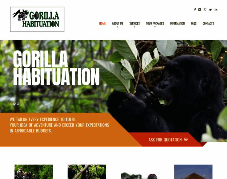 Gorillahabituation.com thumbnail
