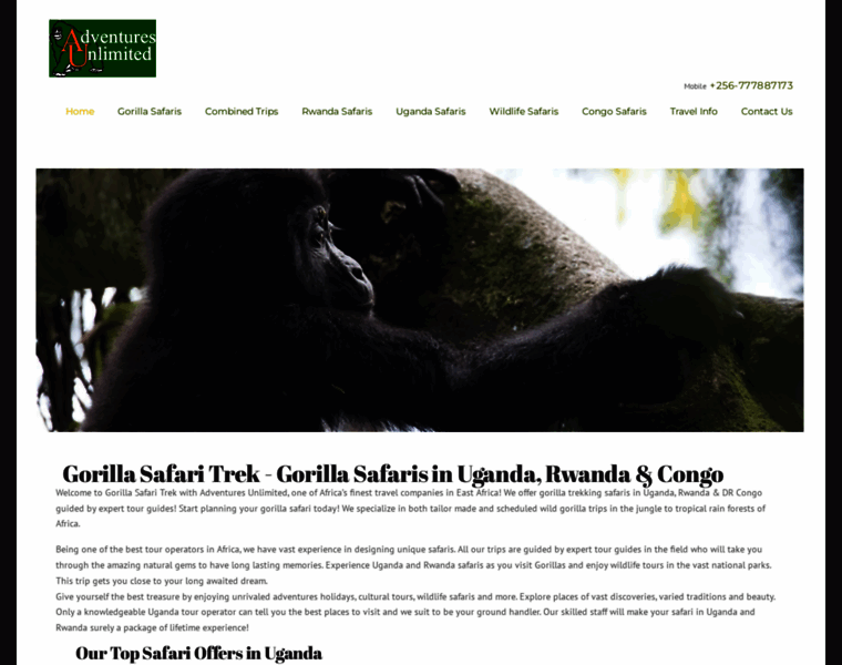 Gorillasafaritrek.com thumbnail