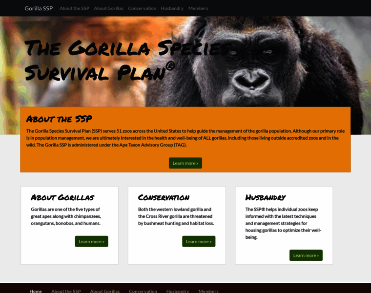 Gorillassp.org thumbnail