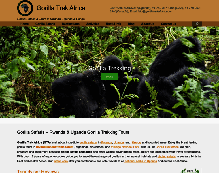 Gorillatrekafrica.com thumbnail