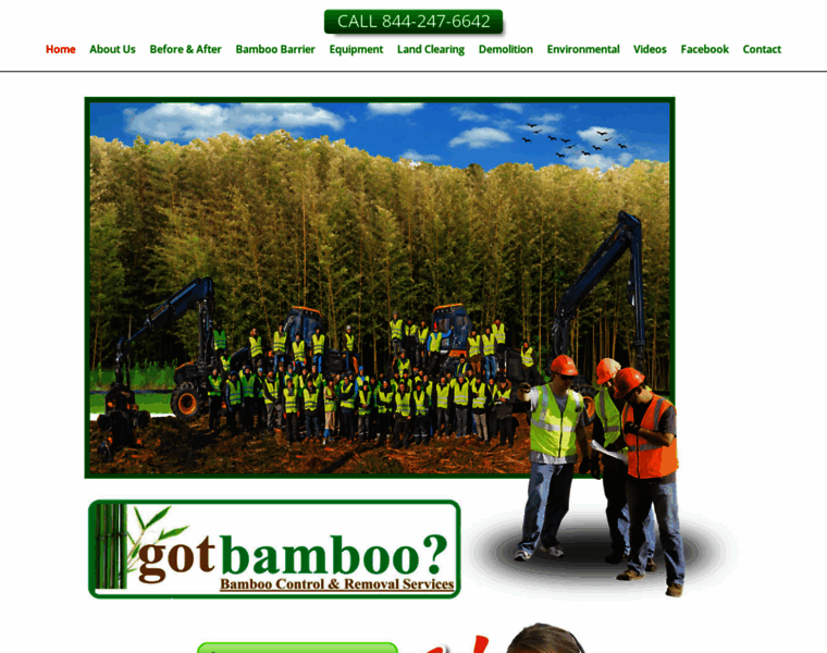 Gotbamboo.com thumbnail