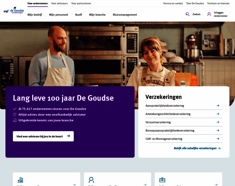 Goudse.nl thumbnail