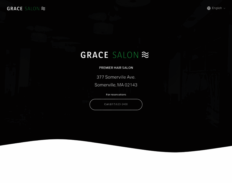 Gracesalonboston.com thumbnail