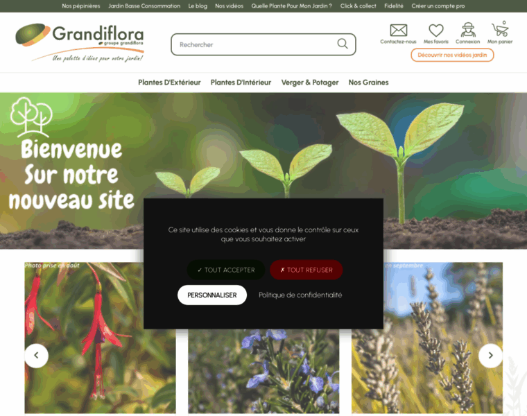 Grandiflora.fr thumbnail