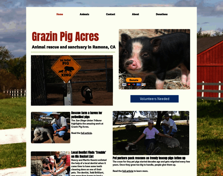 Grazinpigacres.org thumbnail