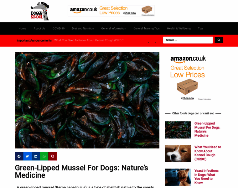 Green-lipped-mussel-oil.com thumbnail