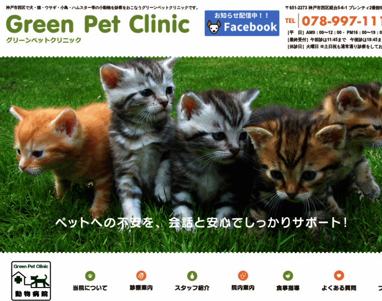 Green-pet.info thumbnail