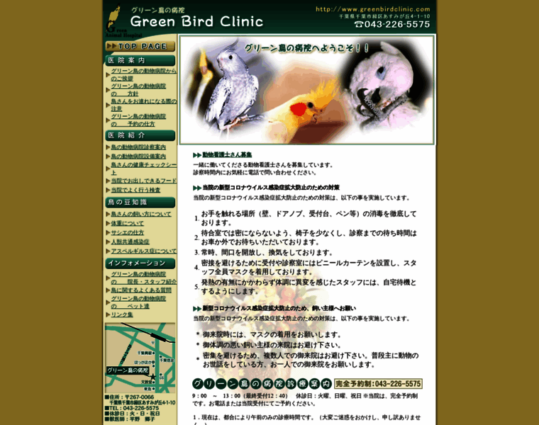 Greenbirdclinic.com thumbnail