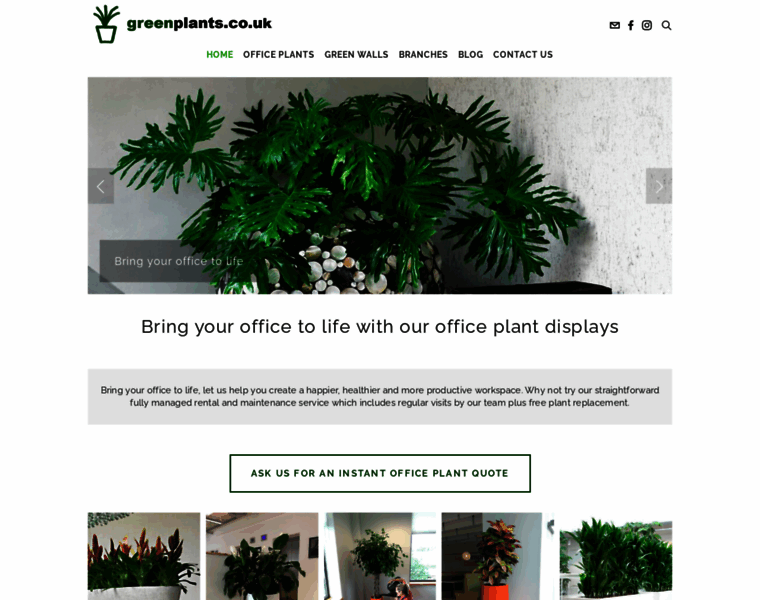 Greenplants.co.uk thumbnail