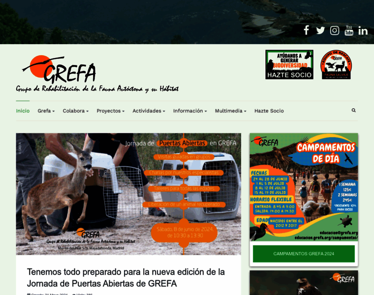 Grefa.org thumbnail