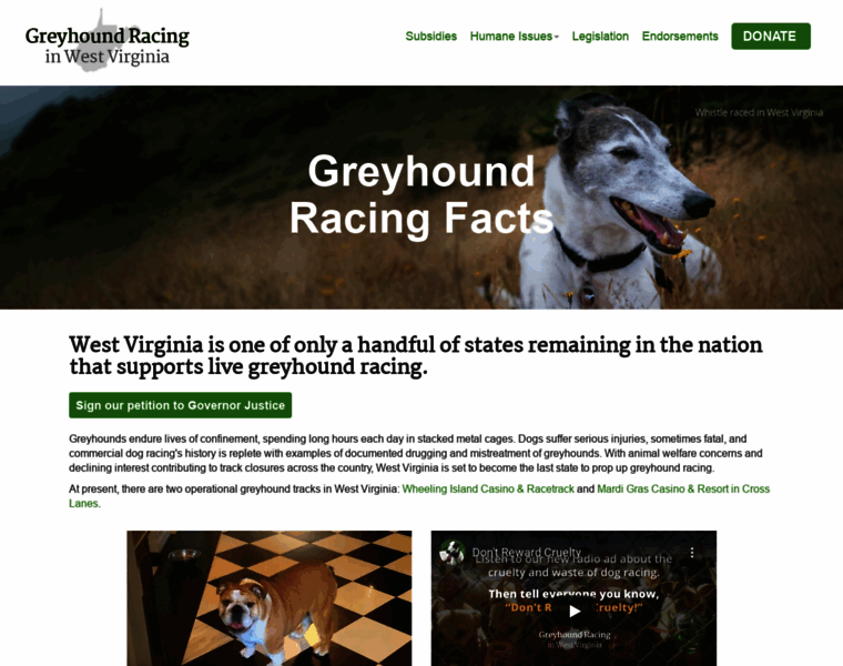 Greyhoundracingfacts.org thumbnail