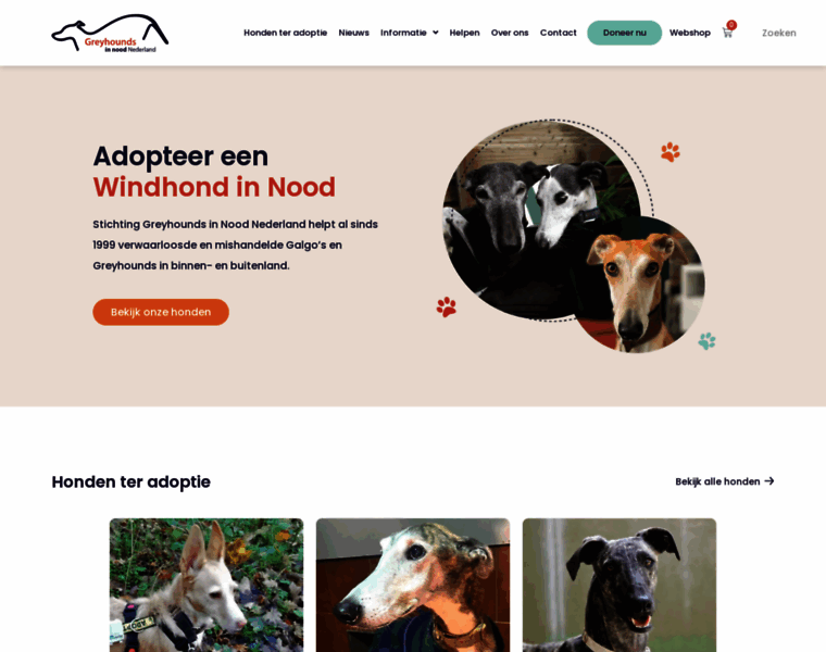 Greyhoundsinnood.nl thumbnail