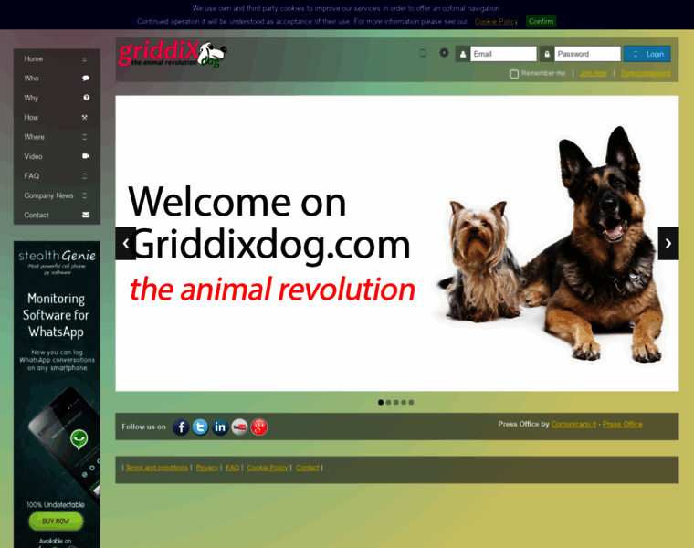 Griddixdog.com thumbnail
