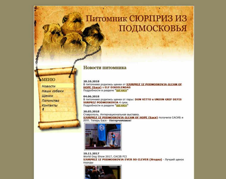 Griffon-surpriz.ru thumbnail