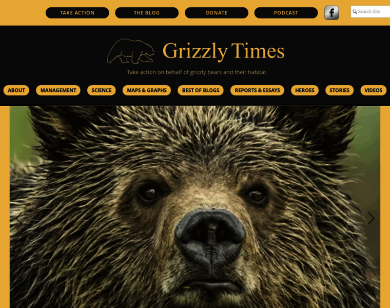 Grizzlytimes.org thumbnail
