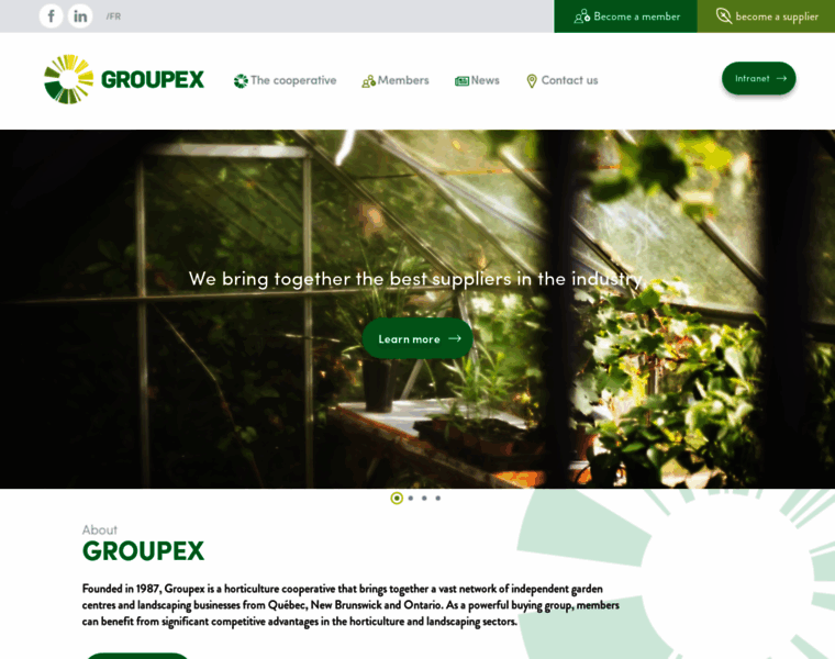 Groupex.coop thumbnail