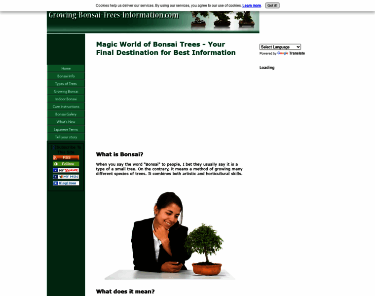 Growing-bonsai-trees-information.com thumbnail