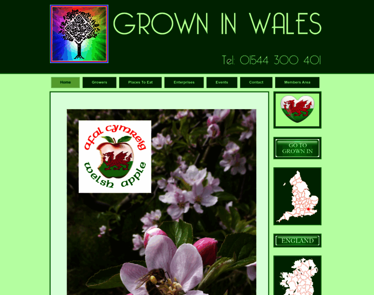 Growninwales.co.uk thumbnail
