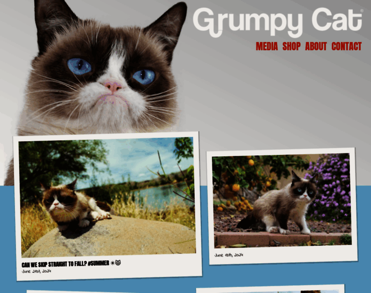 Grumpycats.com thumbnail