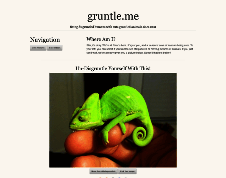 Gruntle.me thumbnail