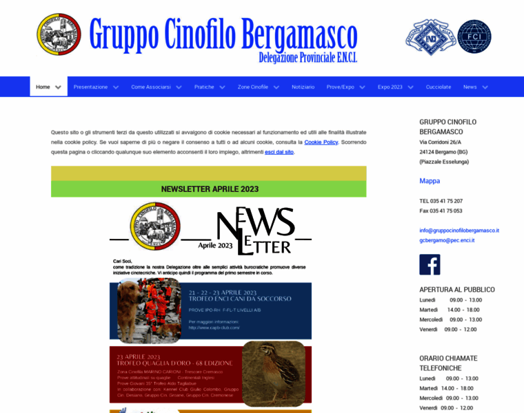 Gruppocinofilobergamasco.it thumbnail