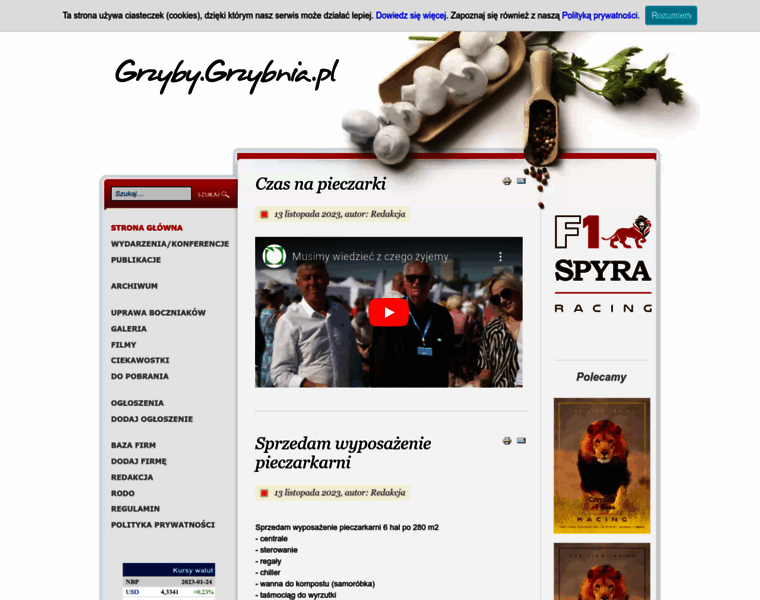 Grzybnia.pl thumbnail