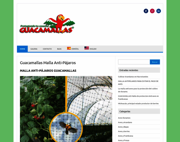 Guacamallas.com thumbnail